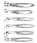 Extracting Forceps