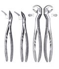 Wisdom Teeth Extacting Forceps