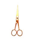 Hair Dressing Scissors