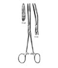 Sponge Forceps